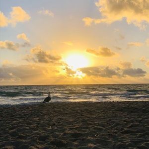 Meet your Posher, Natalia